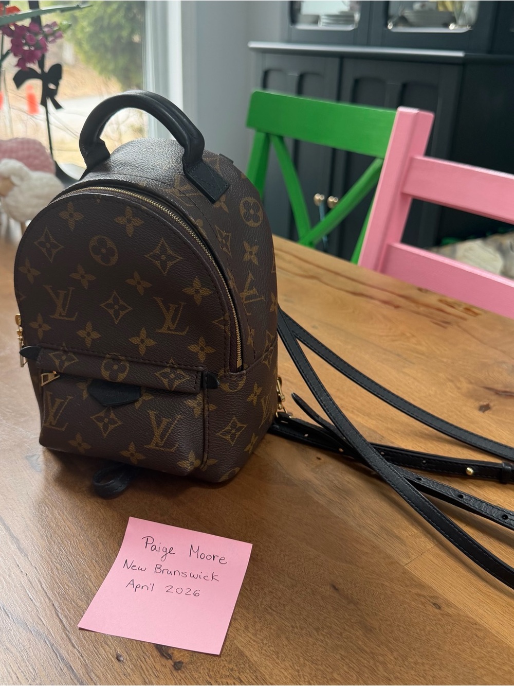 Louis Vuitton Brown Monogram Palm Springs Mini Backpack